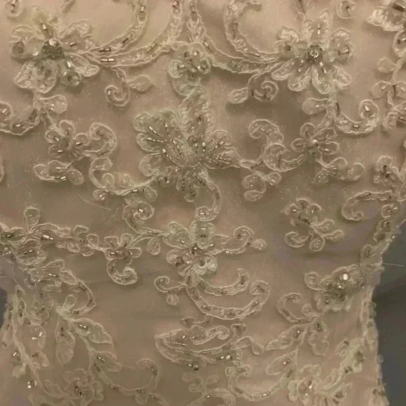 Sottero & Midgley wedding gown - Picture 4 of 12